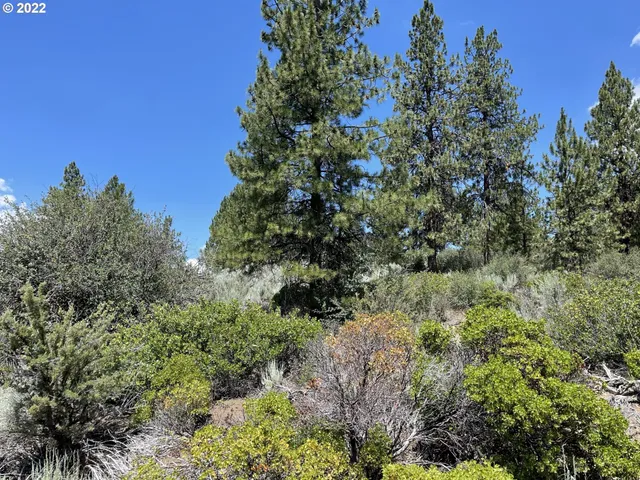 $45,000 | Legget Drive, Unit 21, Chiloquin, OR 97624