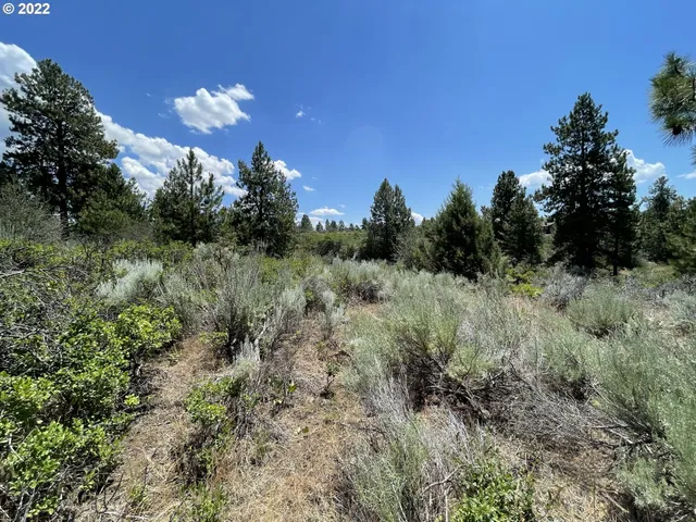 $45,000 | Legget Drive, Unit 21, Chiloquin, OR 97624