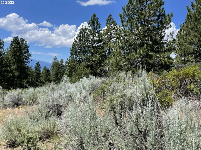 $45,000 | Legget Drive, Unit 21, Chiloquin, OR 97624