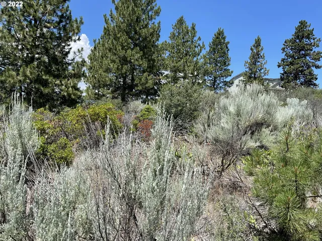 $45,000 | Legget Drive, Unit 21, Chiloquin, OR 97624