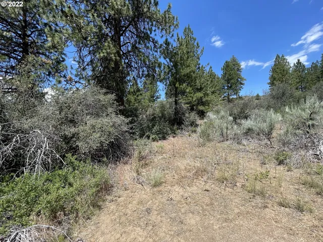 $45,000 | Legget Drive, Unit 21, Chiloquin, OR 97624