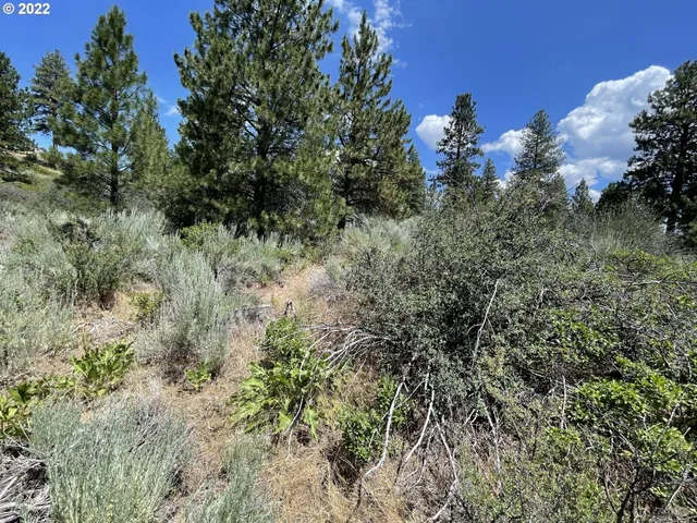 $45,000 | Legget Drive, Unit 21, Chiloquin, OR 97624