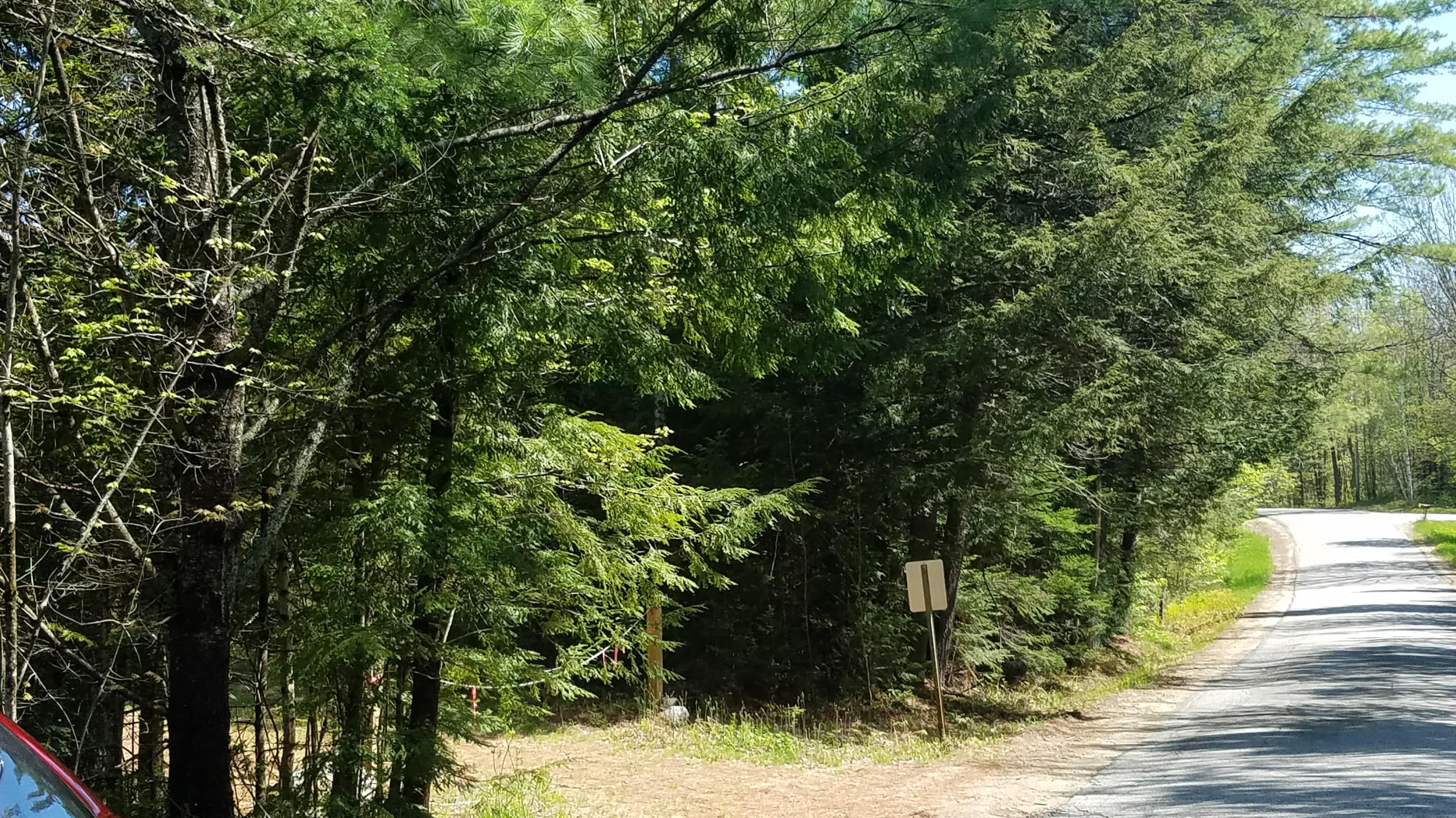 Tbd Stock Farm Road South Paris, ME 04281 - Photo 8 of 12 20190526_101316