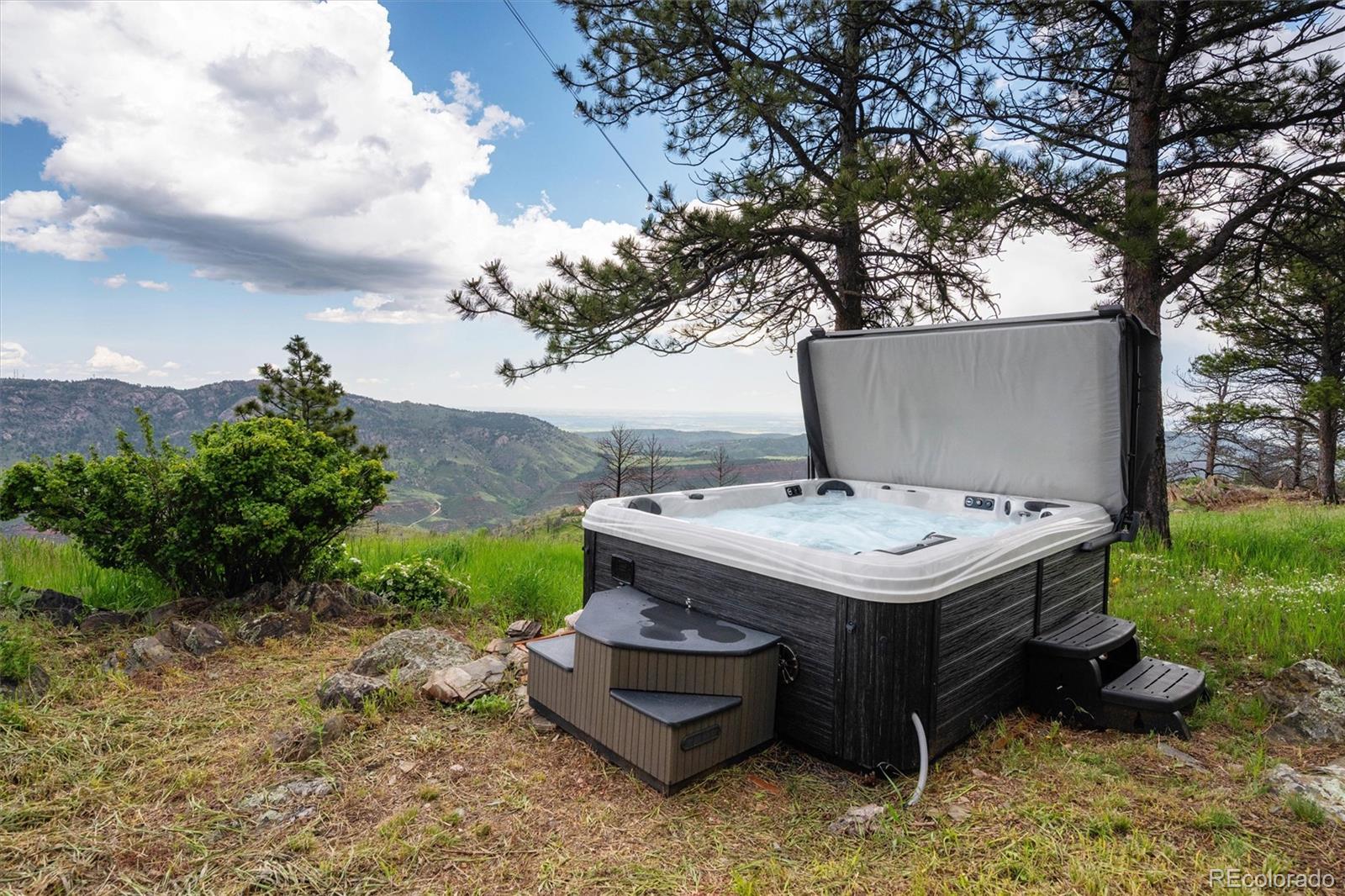 13328 Otter Road Loveland, CO 80538 - Photo 31 of 43 a view of a backyard with plants and trees