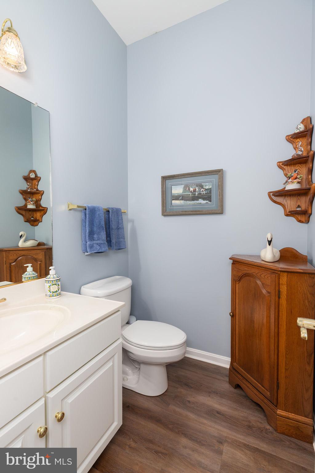 11324 River Run Lane Berlin, MD 21811 - Photo 17 of 50 a bathroom with a toilet a sink and a mirror