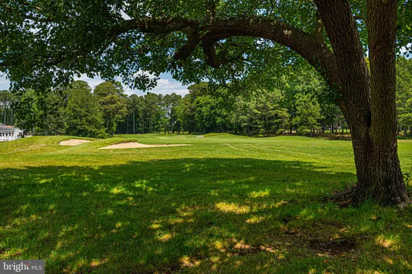 a view of a field with a tree in the background