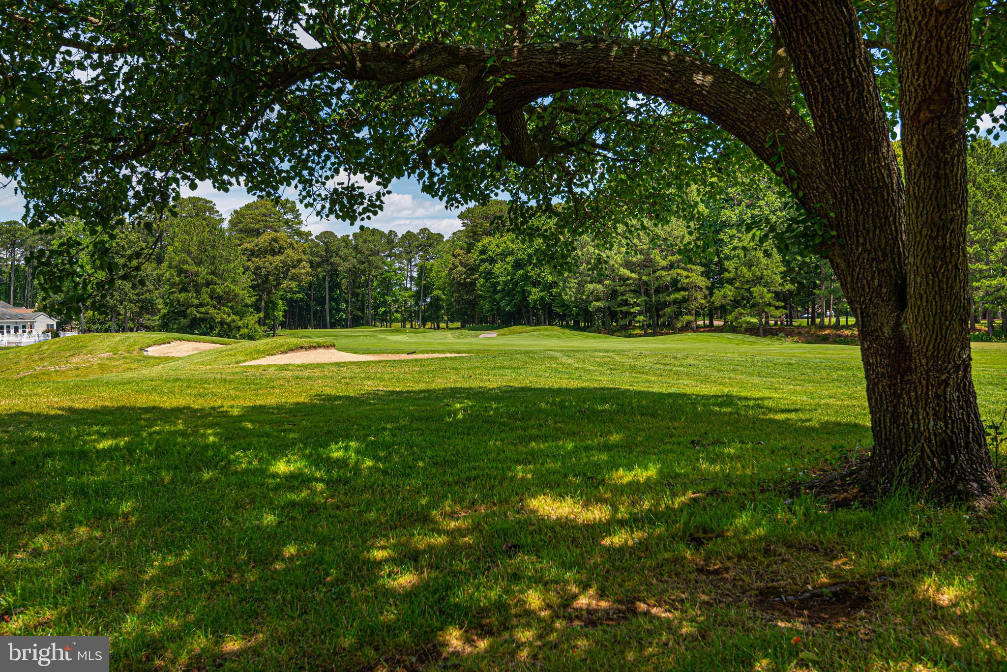 11324 River Run Lane Berlin, MD 21811 - Photo 45 of 50 a view of a field with a tree in the background