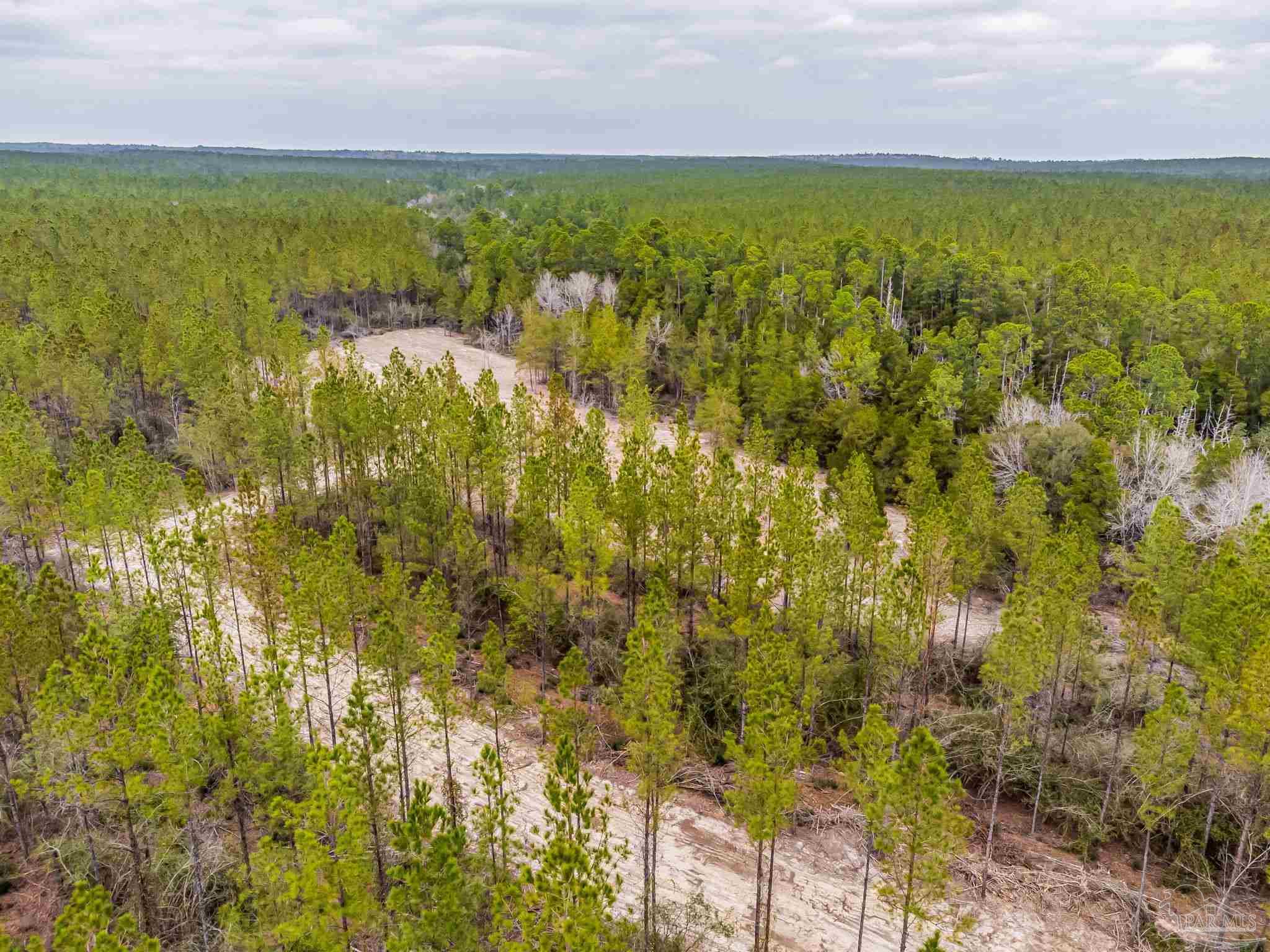 9318 Indian Ford Road, Unit PARCEL B 22 45 / ACRES (APPROXIMATELY) Milton, FL 32570 - Photo 2 of 36