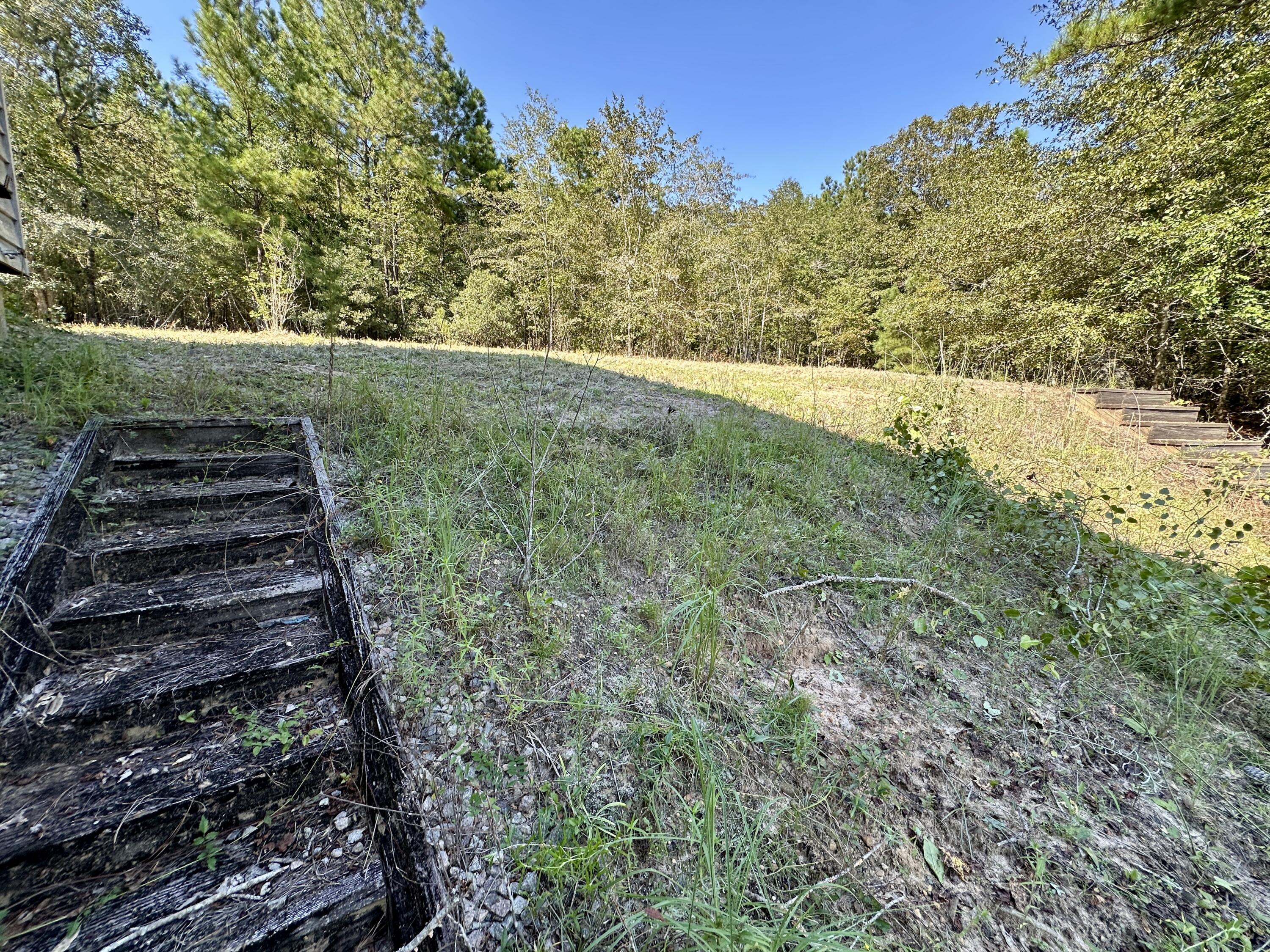 3021 Salley Road Salley, SC 29137 - Photo 68 of 73