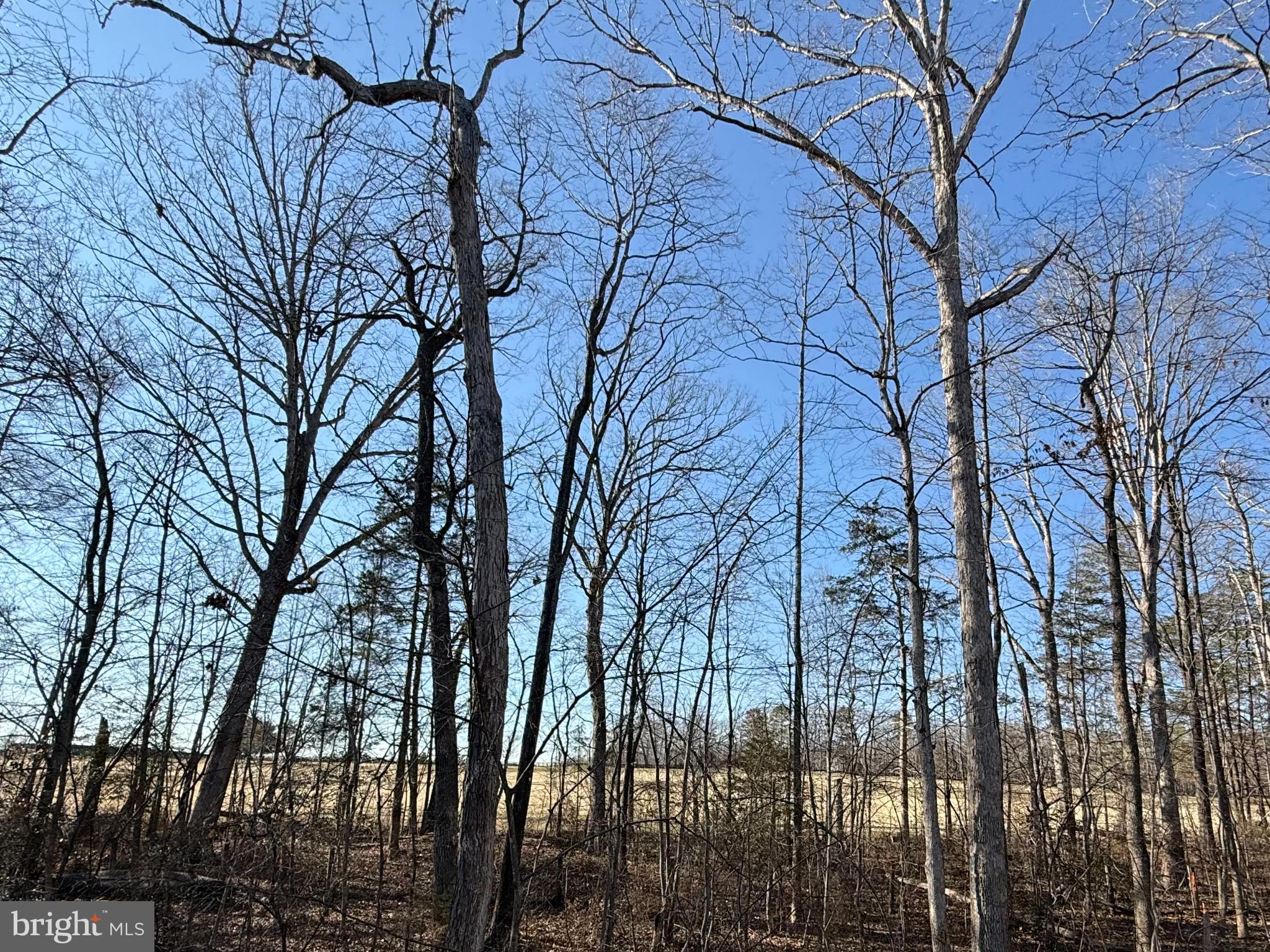 206 Saylers Creek Road Locust Grove, VA 22508 - Photo 39 of 42 a view of a yard