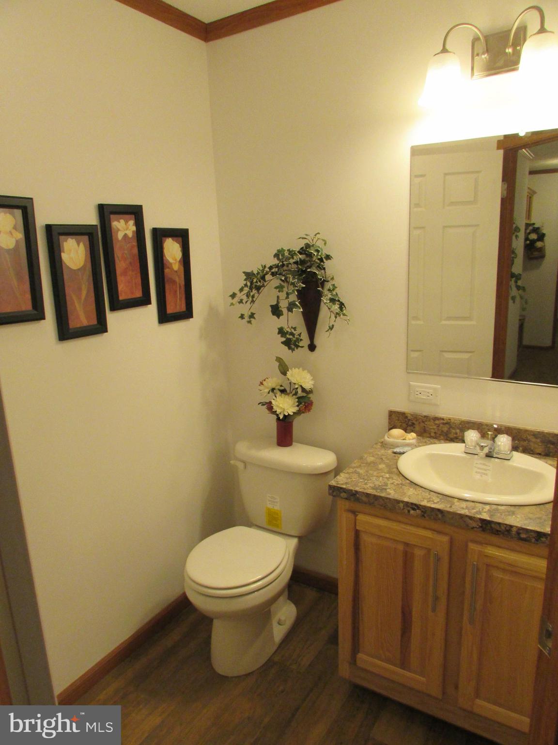 107 View Street Bellefonte, PA 16823 - Photo 21 of 42 a bathroom with a toilet sink and mirror