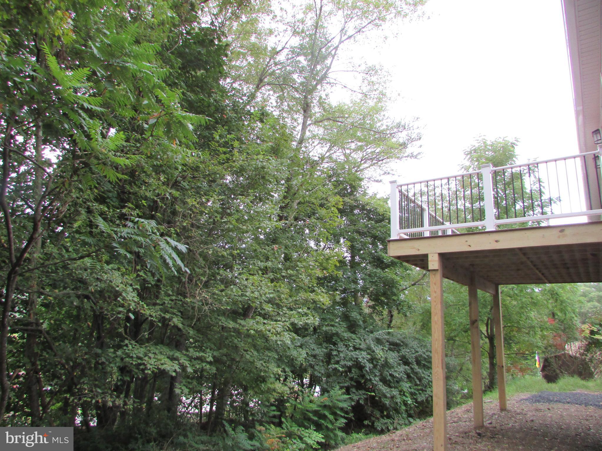 107 View Street Bellefonte, PA 16823 - Photo 40 of 42 a balcony with a tree