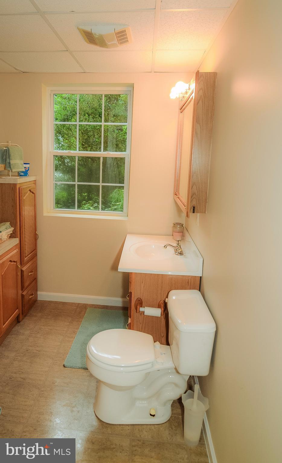 8425 Pushaw Station Road Owings, MD 20736 - Photo 13 of 30 Basement Bathroom
