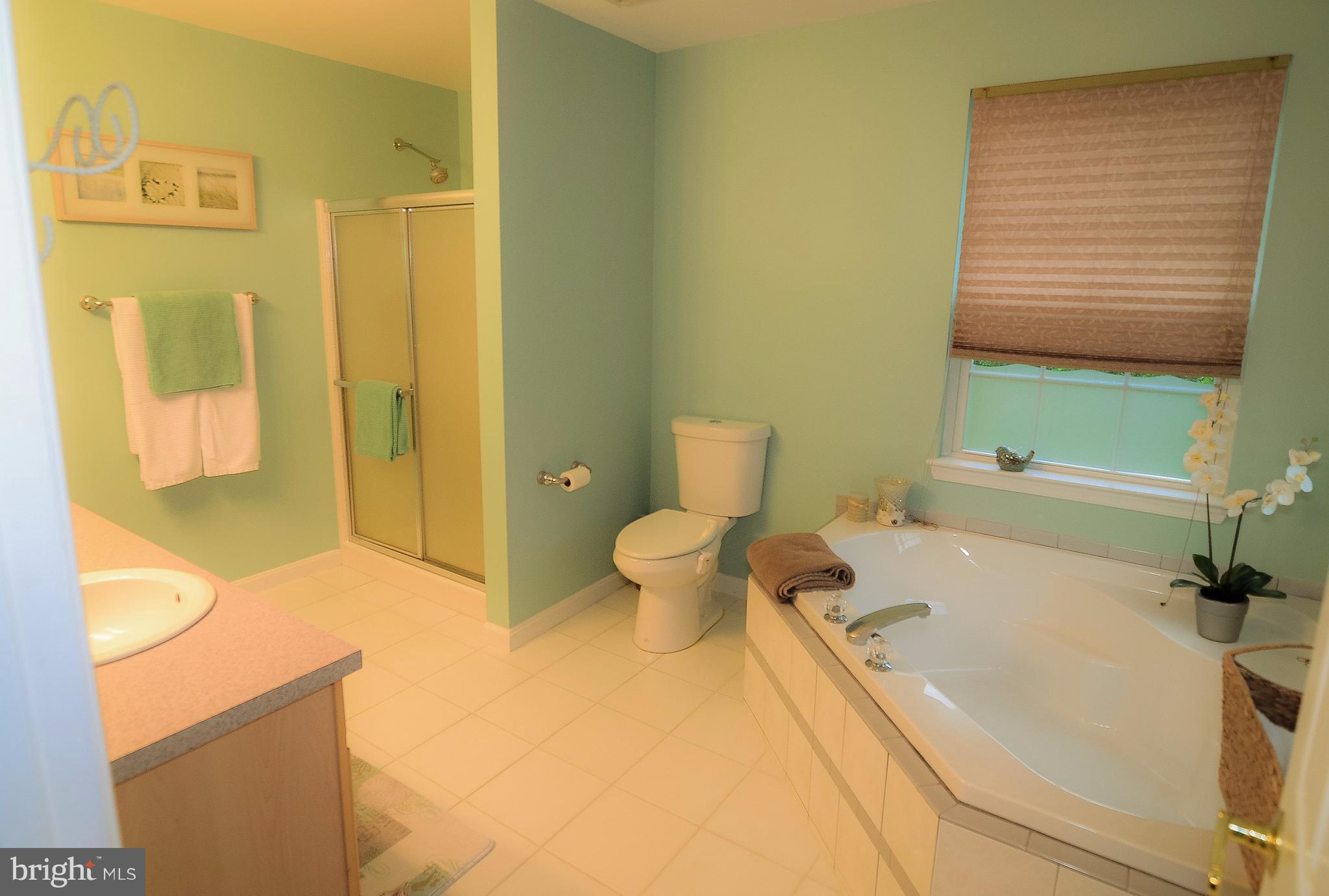 8425 Pushaw Station Road Owings, MD 20736 - Photo 9 of 30 Bath (Master)