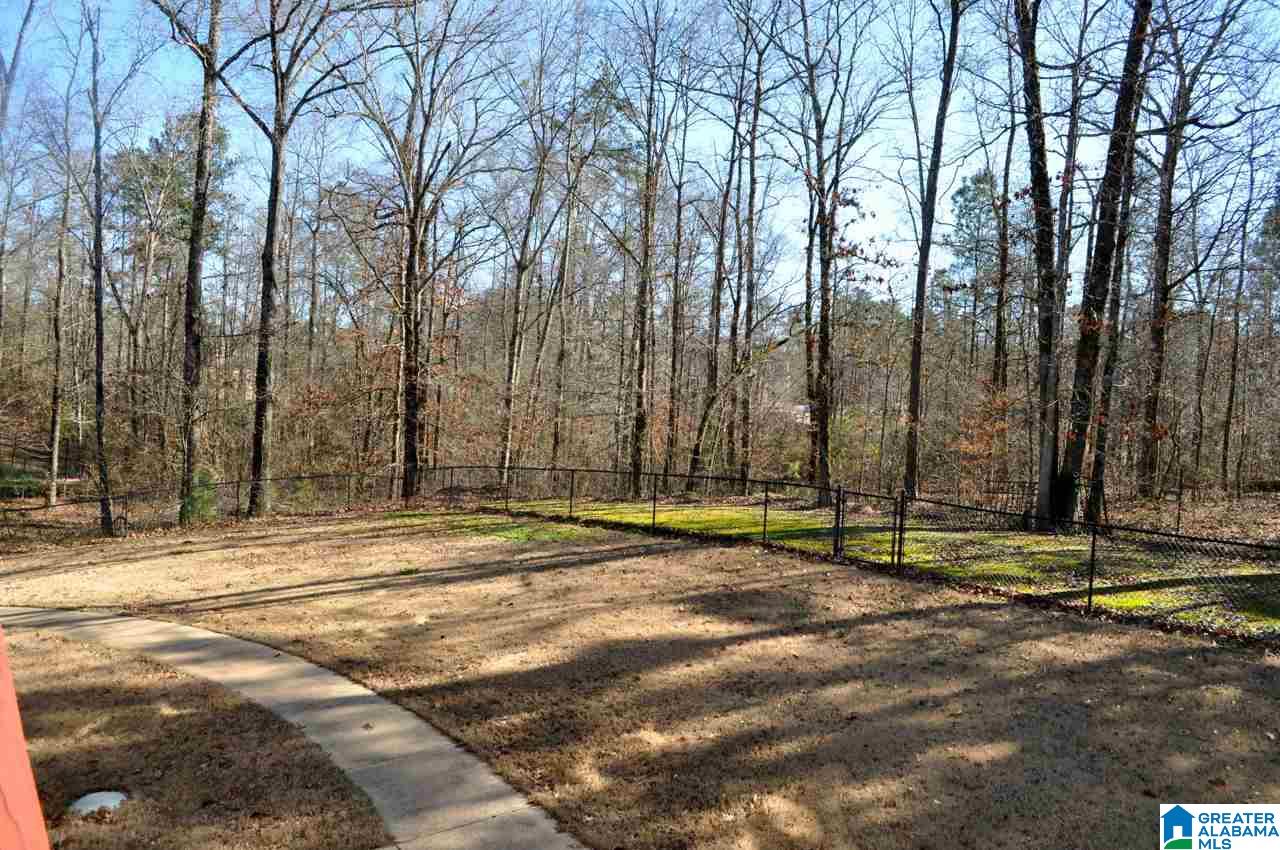 110 Shore Line Way Wilsonville, AL 35186 - Photo 4 of 40