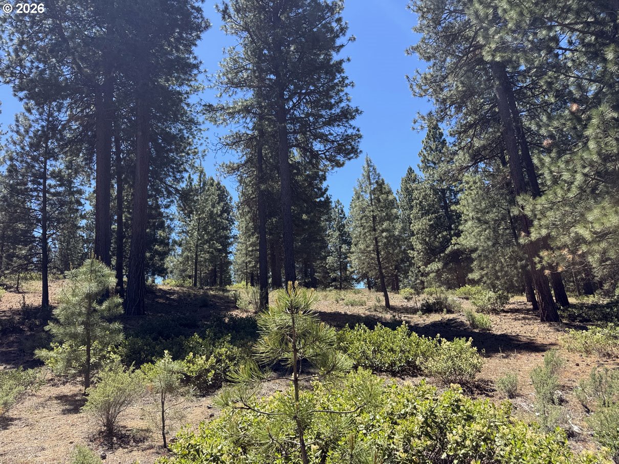Incline Drive, Unit 22 Chiloquin, OR 97624 - Photo 16 of 19