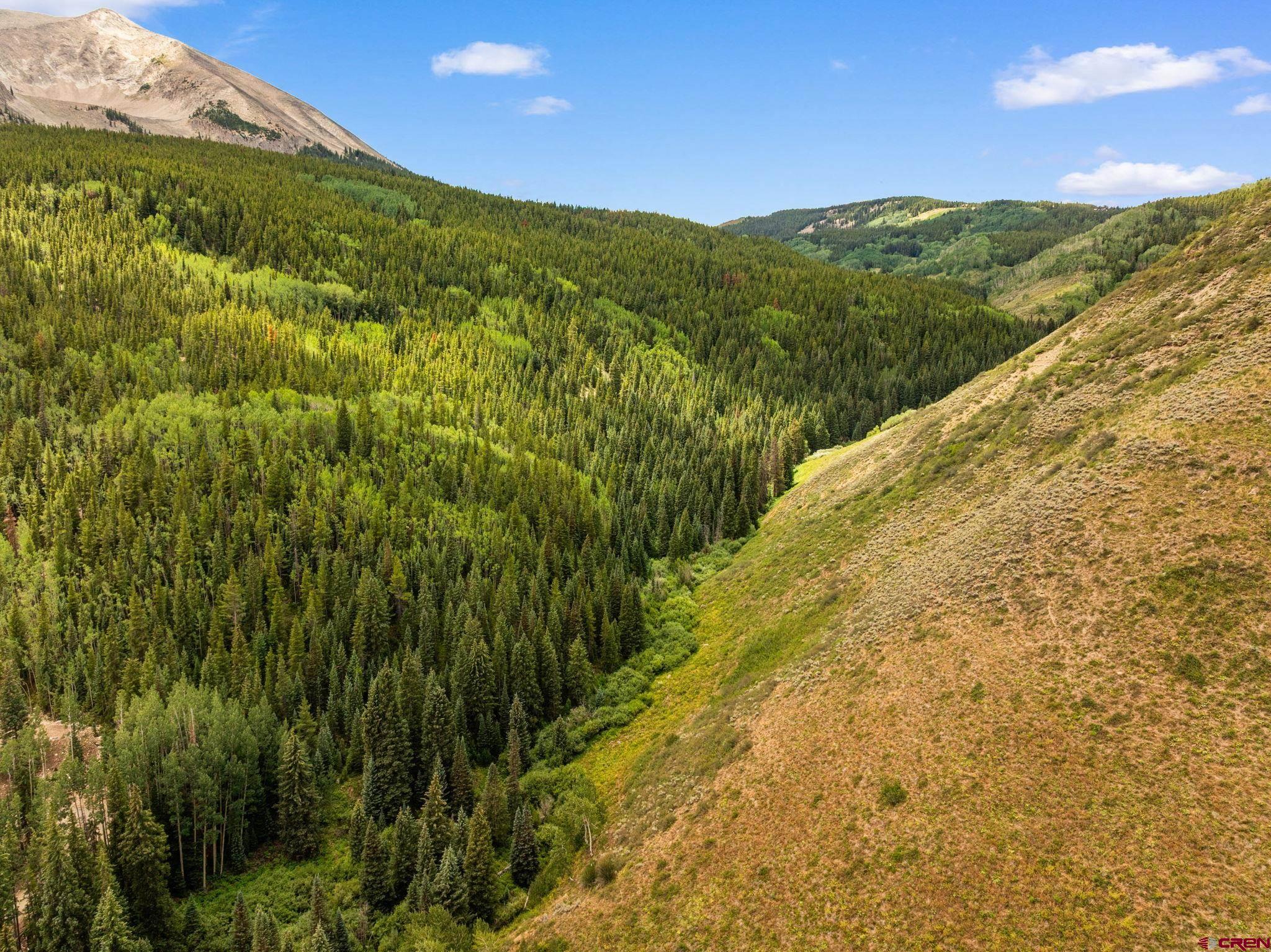 Tbd Tbd Hidden Mine Ranch Road Crested Butte, CO 81224 - Photo 38 of 45 Gallery Image 38