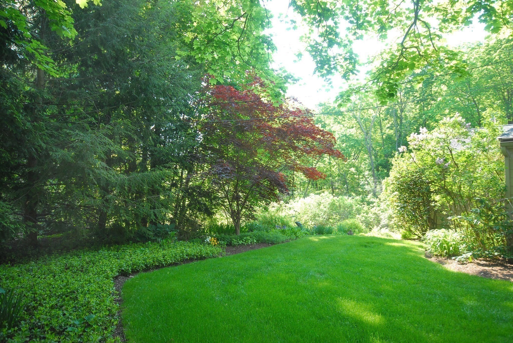 116 Martin Road Concord, MA 01742 - Photo 38 of 39 Gallery Image 38
