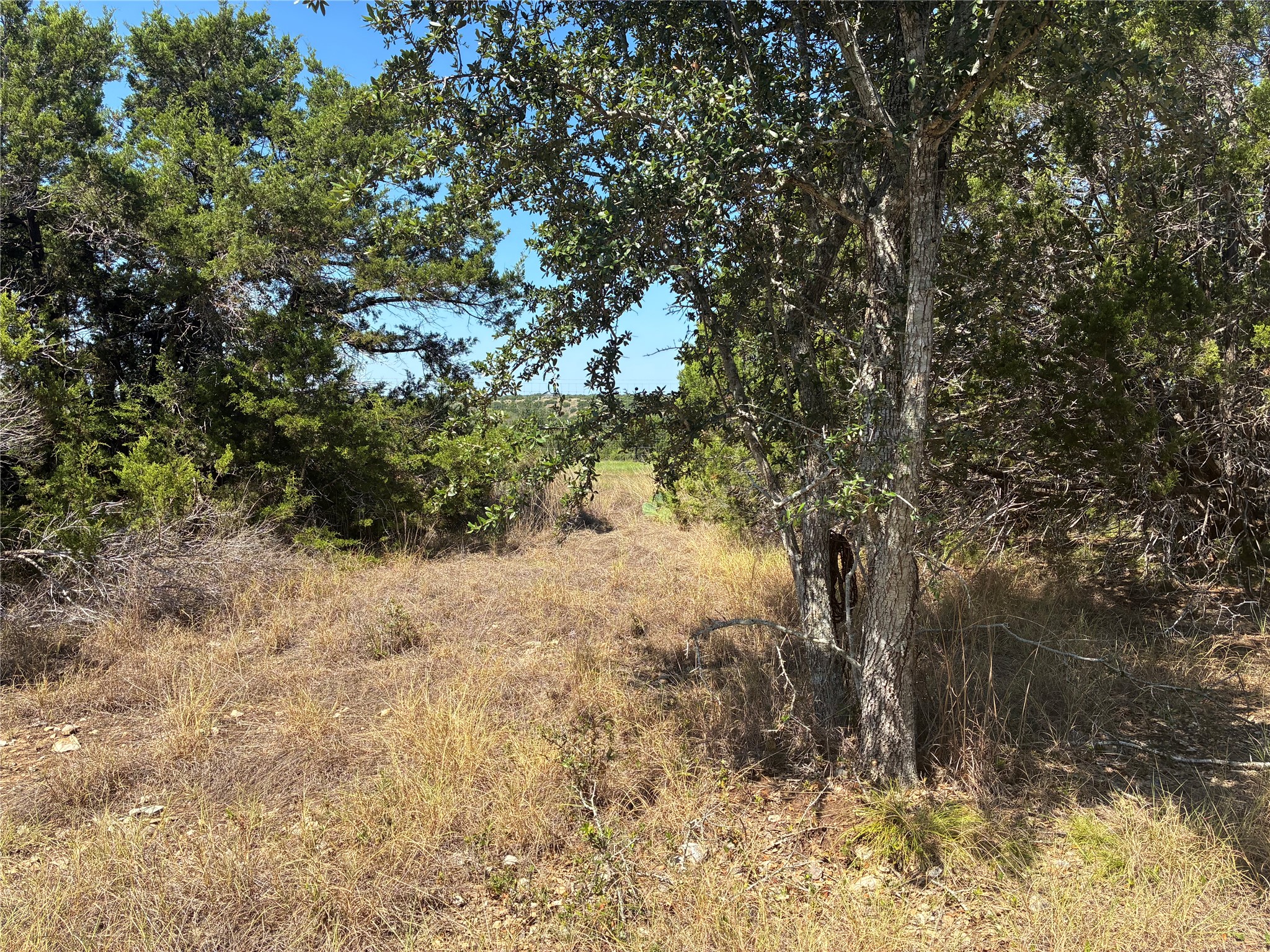 317 West Headwaters Ranch Road Kendalia, TX 78027 - Photo 7 of 8 Mature trees frame a natural clearing, revealing the peaceful countryside beyond.