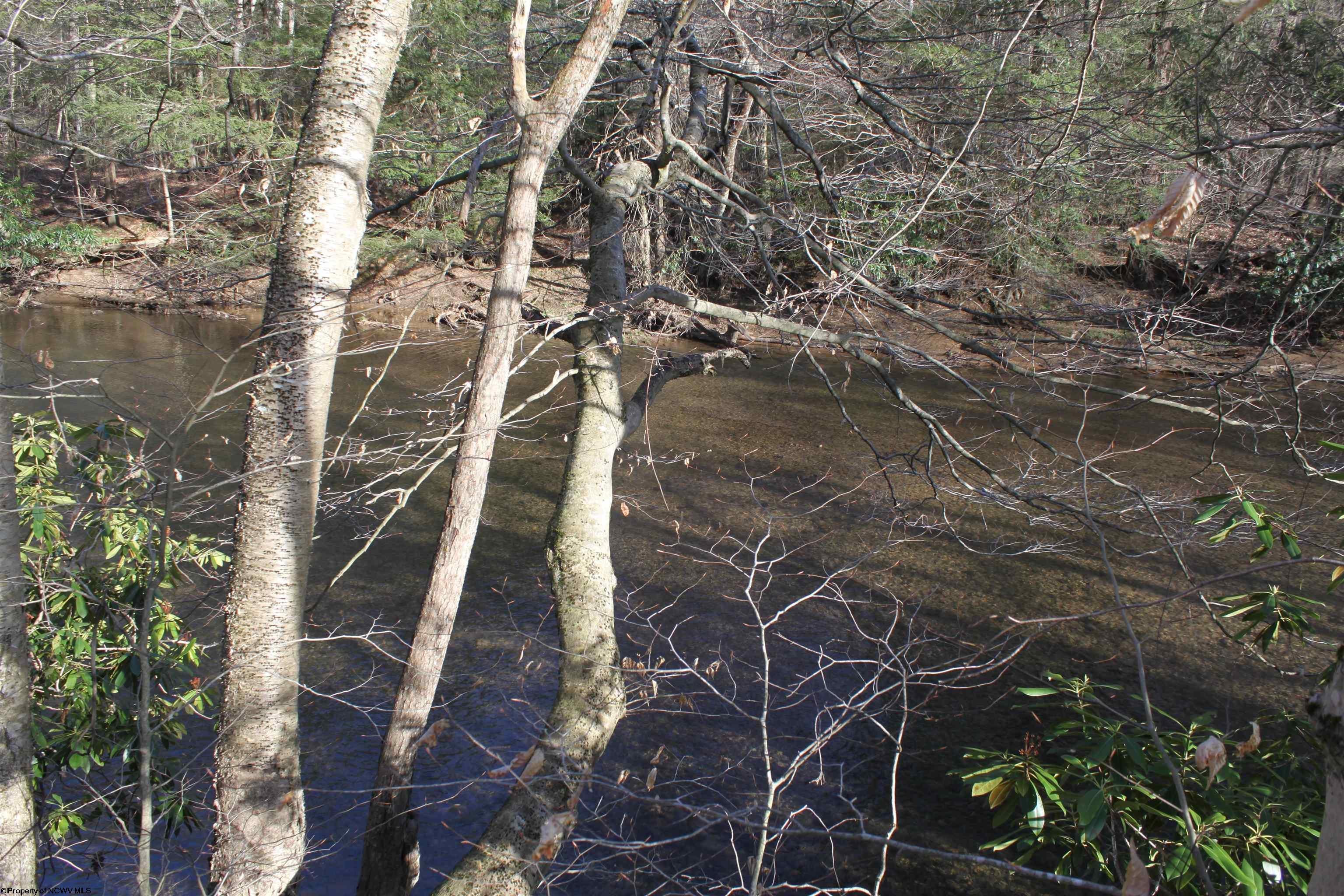1625 Gauley River Road Webster Springs, WV 26288 - Photo 13 of 23 Gallery Image 13