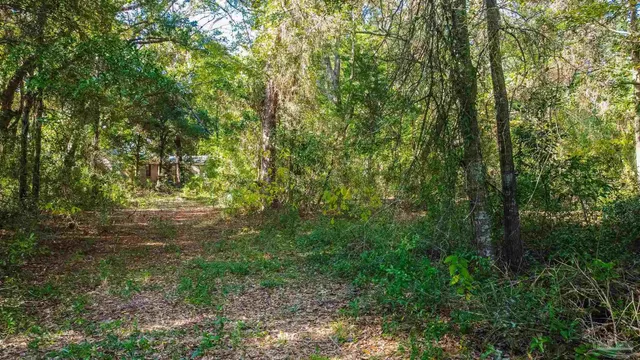 a view of outdoor space and trees