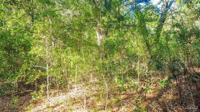 a view of a chairs and tables in the patio