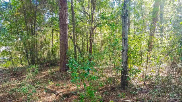 a bathroom with a tub a sink and a shower
