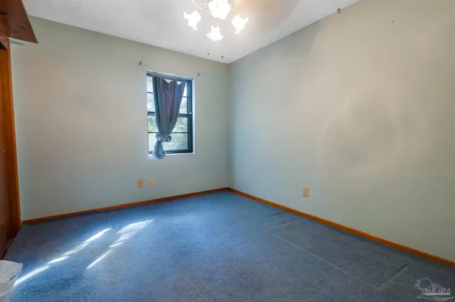 a view of forest with trees