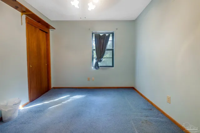 a view of a forest with trees in the background