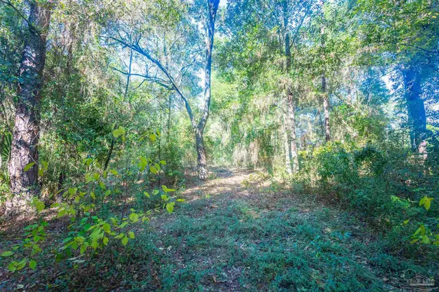 a view of outdoor space with trees