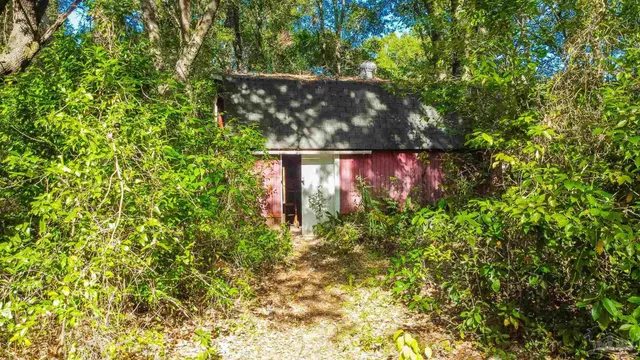 a view of a garden from a window