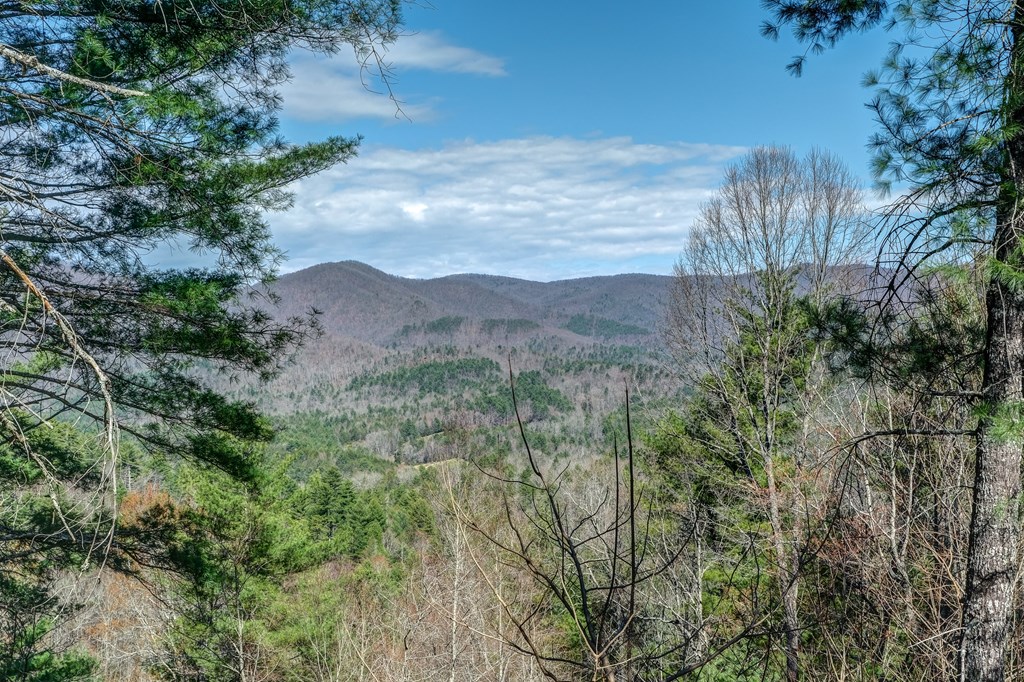 650 Top Horseshoe Ridge Murphy, NC 28906 - Photo 3 of 68