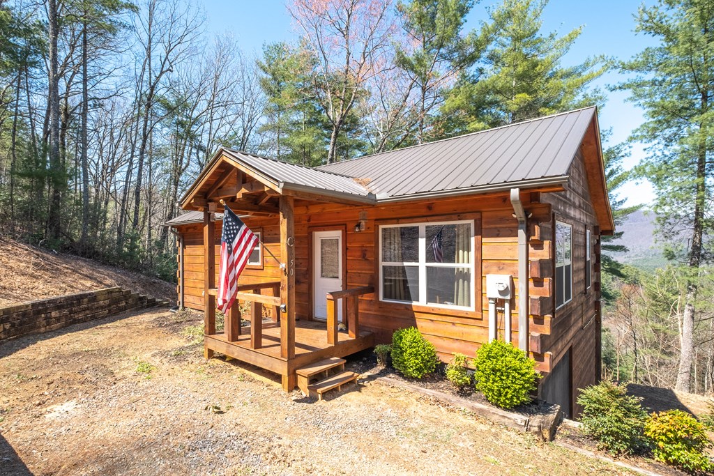 650 Top Horseshoe Ridge Murphy, NC 28906 - Photo 8 of 68