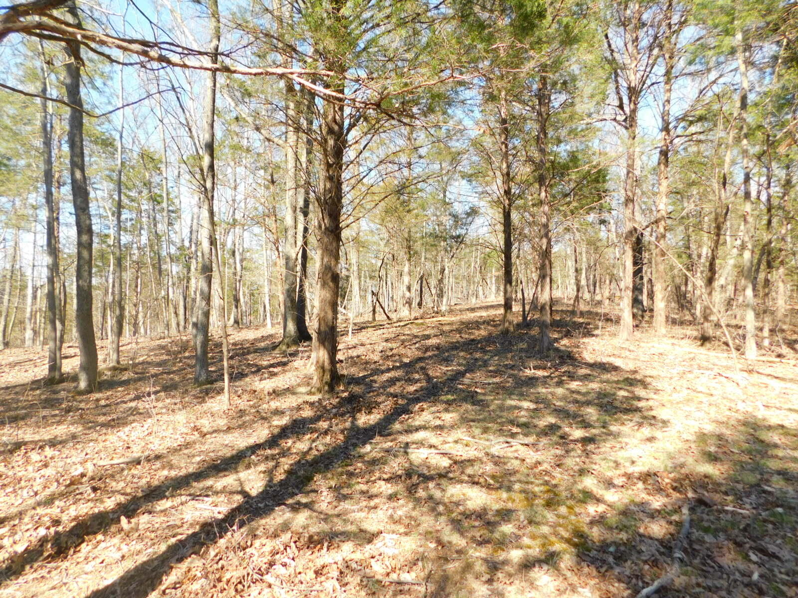 1 Turkey Ridge Road Corinth, KY 41010 - Photo 10 of 38