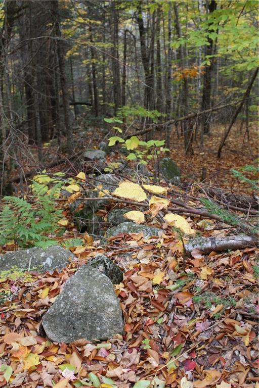 Tbd James Jipson Road Burlington, ME 04417 - Photo 9 of 15 Photo