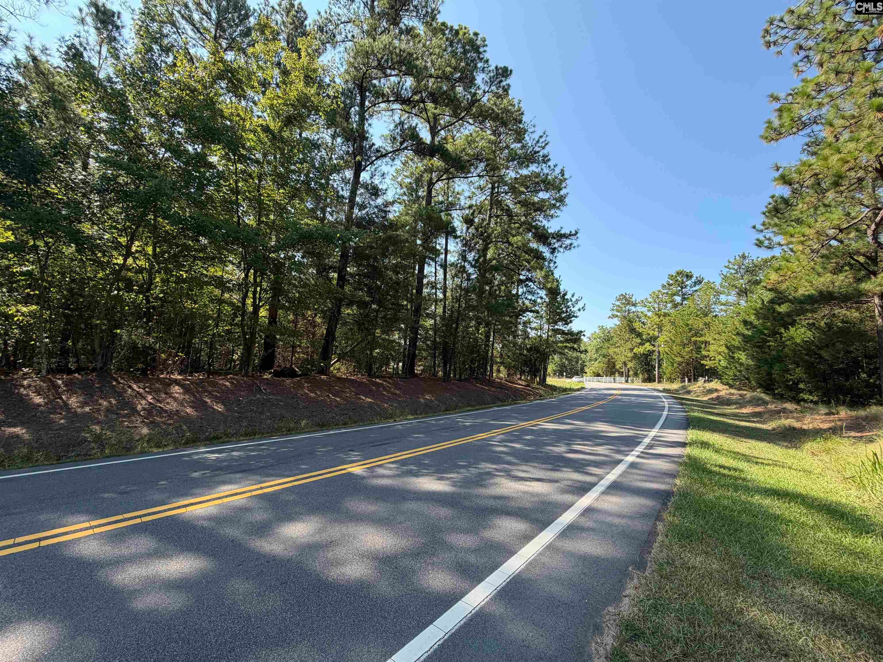 427 Murray Lindler Road Chapin, SC 29036 - Photo 1 of 5 Gallery Image 1