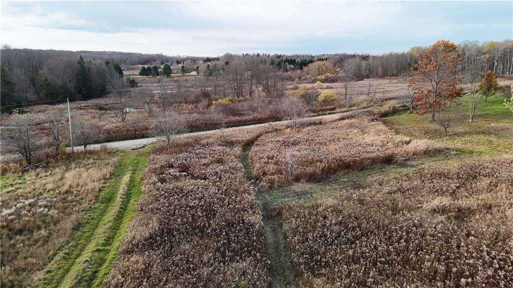0 Wilson Road North East, PA 16428 - Photo 4 of 8 a view of a dry yard with trees