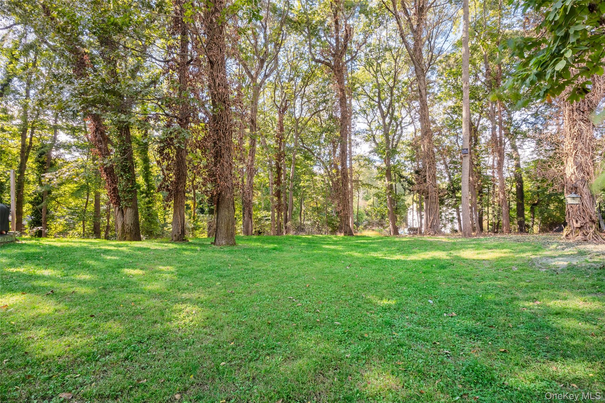 7 Shaker Hollow Road Setauket, NY 11733 - Photo 29 of 38 a big yard with lots of green space and trees