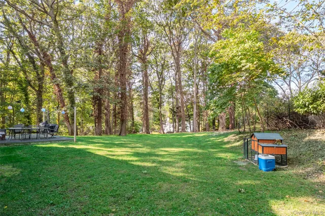 a view of a park with large trees