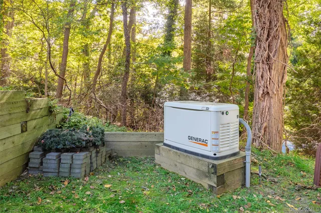a view of a garden with plants