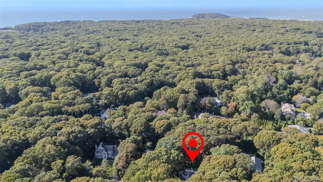 an aerial view of a houses with a lush green hillside