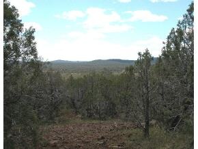 108 South Camp Road Ash Fork, AZ 86320 - Photo 1 of 2 Primary Photo