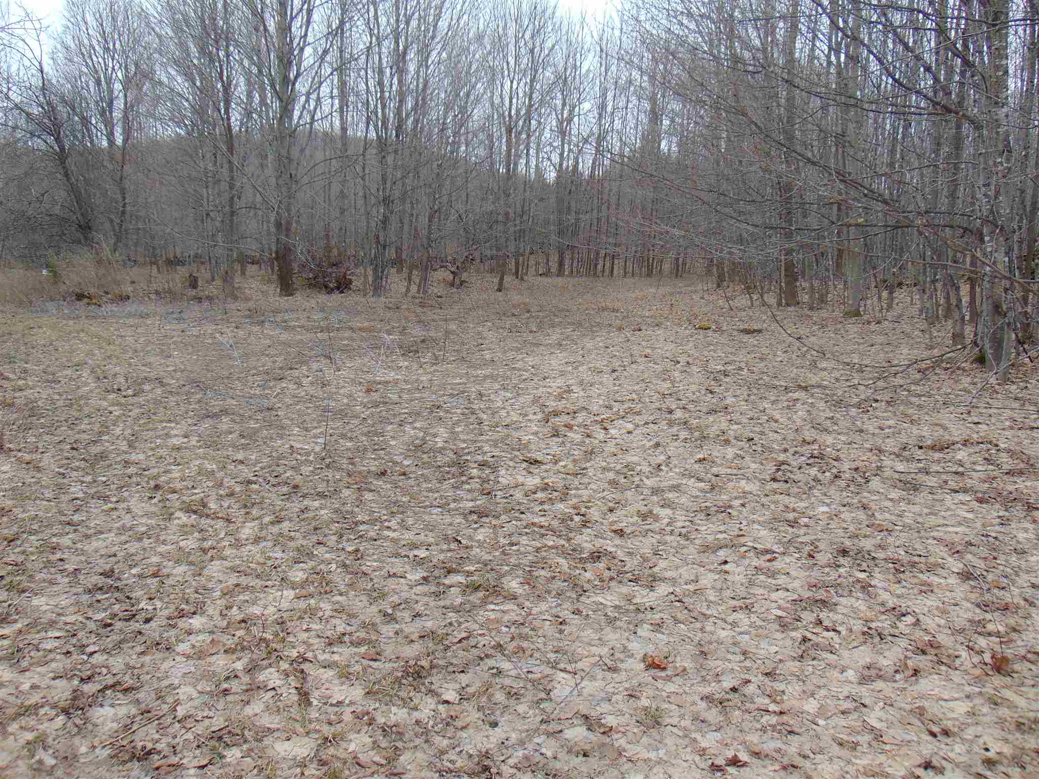 0 Thistle Hill Road Cabot, VT 05647 - Photo 3 of 19 Gallery Image 3