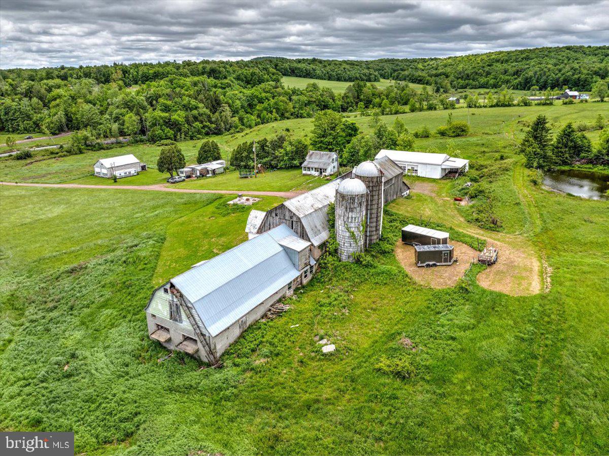 115 A Hellmers Hill Road Equinunk, PA 18417 - Photo 4 of 27