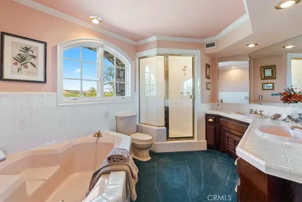 a bathroom with a granite countertop sink a toilet and a mirror