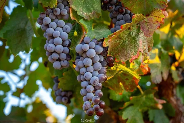 $3,850,000 | 8283 Cross Canyons Road, San Miguel, CA 93451