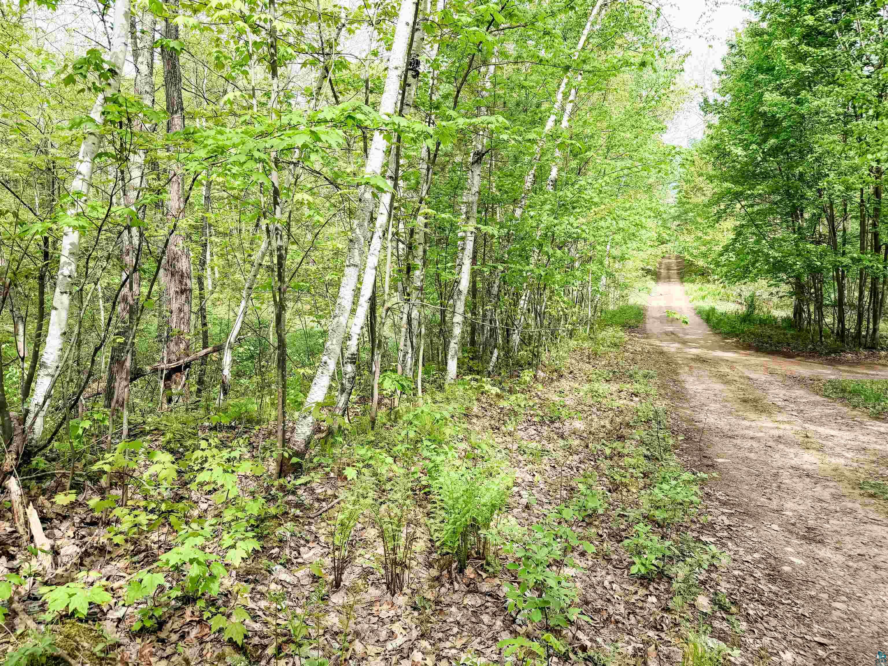 Lot 2 Peterson Road Minong, WI 54859 - Photo 3 of 5