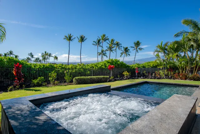 a view of a backyard with plants and palm tree