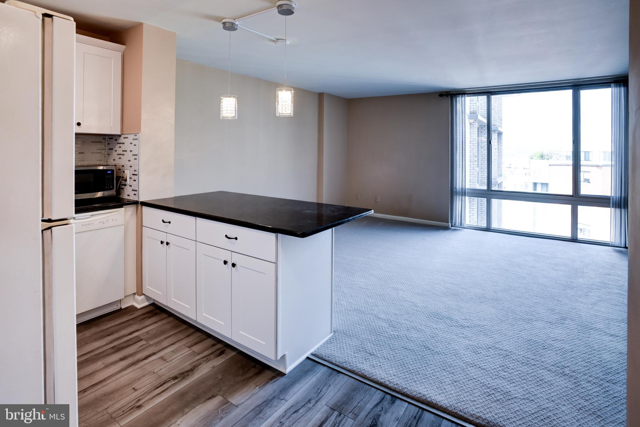 950 25th Street Northwest, Unit 927N Washington, DC 20037 - Photo 16 of 32 Living Room/Kitchen