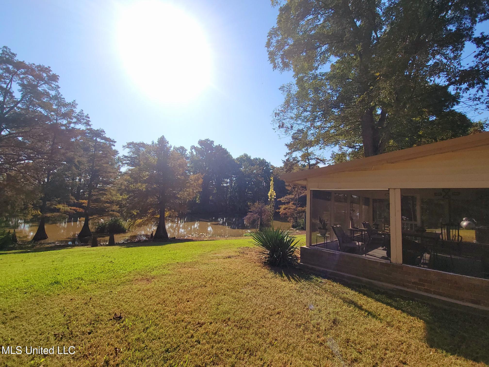 5675 Dubbs Road Dundee, MS 38626 - Photo 33 of 51 5675 Dubbs - Water View
